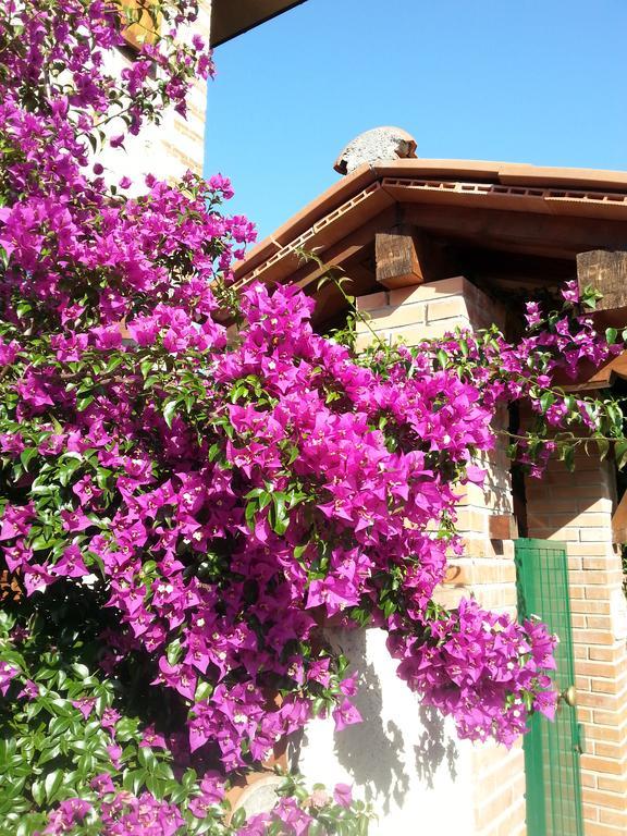 Villa Il Fortino Lido di Camaiore Exteriér fotografie